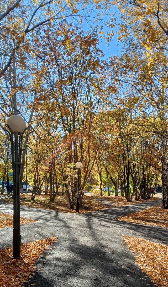 Сегодня тепло и солнечно, а послезавтра обещают 0° и снег😬