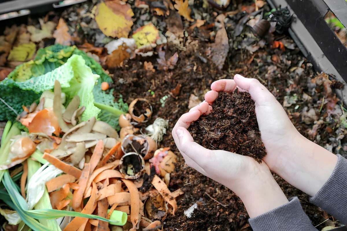     Компост пахнет тухлыми яйцами или кошачьим туалетом? Вот простые решения, как предотвратить неприятный запах