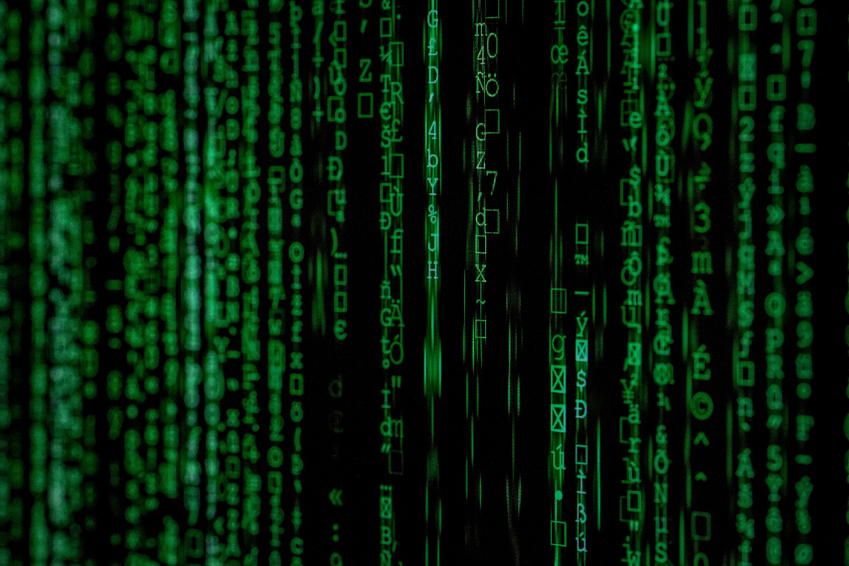 Источник фото: https://unsplash.com/