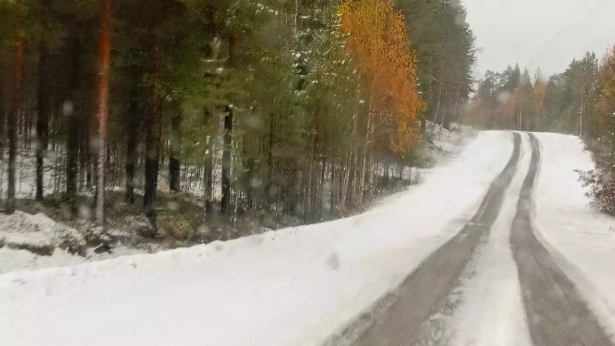     Автор: Раиса Тупина Источник: Сегежские Будни | Сегежа | Карелия / vk