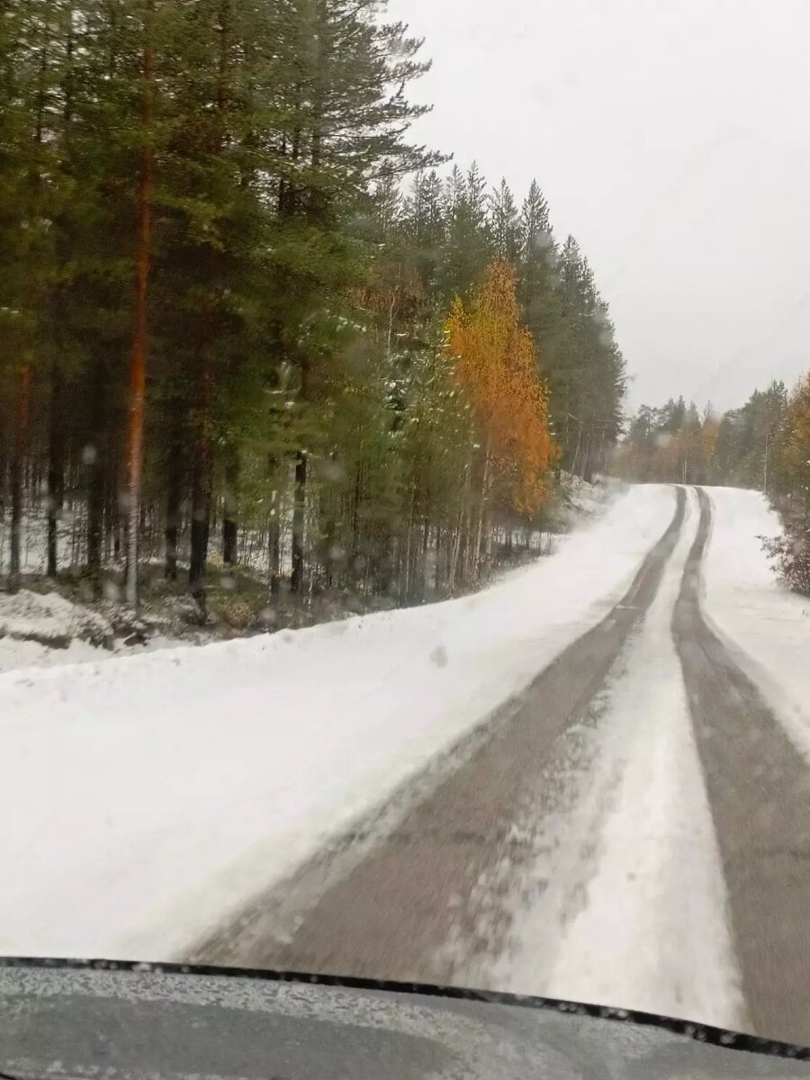     Автор: Раиса Тупина Источник: Сегежские Будни | Сегежа | Карелия / vk