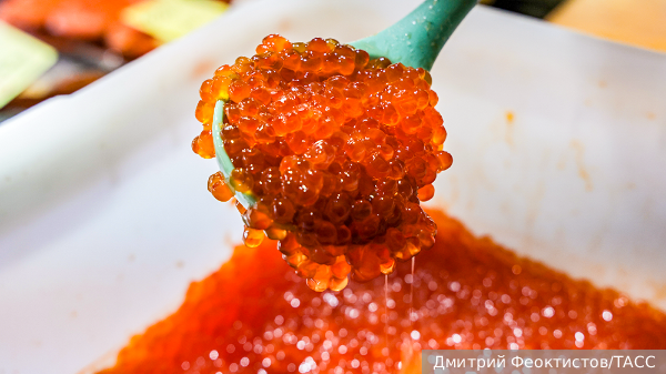     Фото: Дмитрий Феоктистов/ТАСС   
 Текст: Александра Юдина