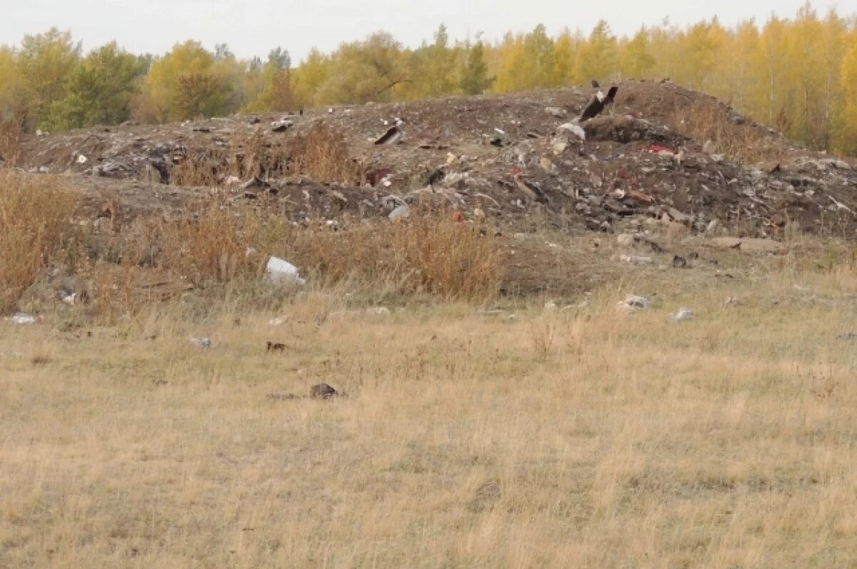    59 скотомогильников в Оренбуржье закроют за 6 миллионов рублей