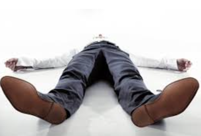 Изображение взято из сети Интернет*