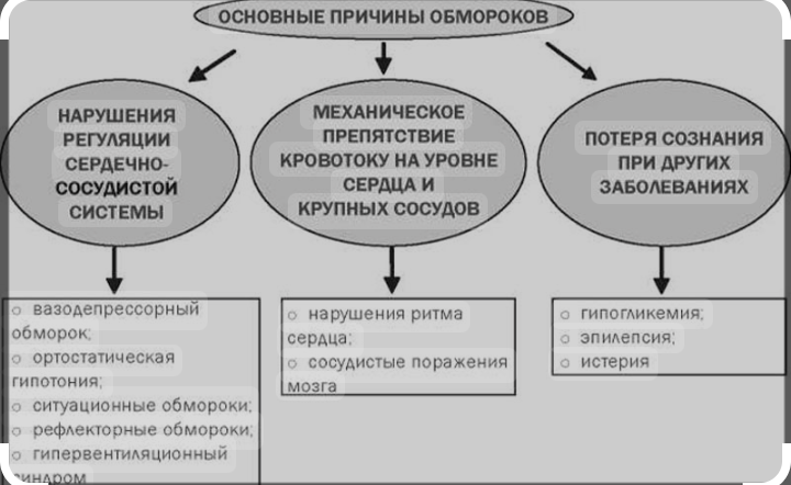 Изображение взято из сети Интернет*