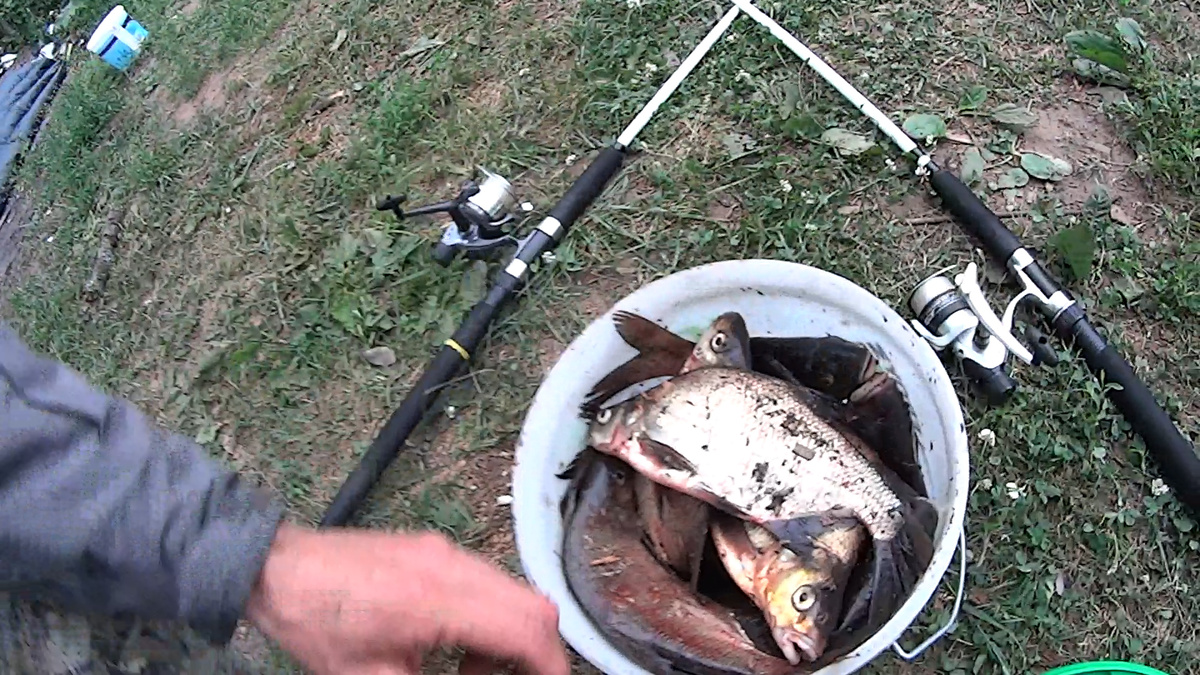 лещ на донки