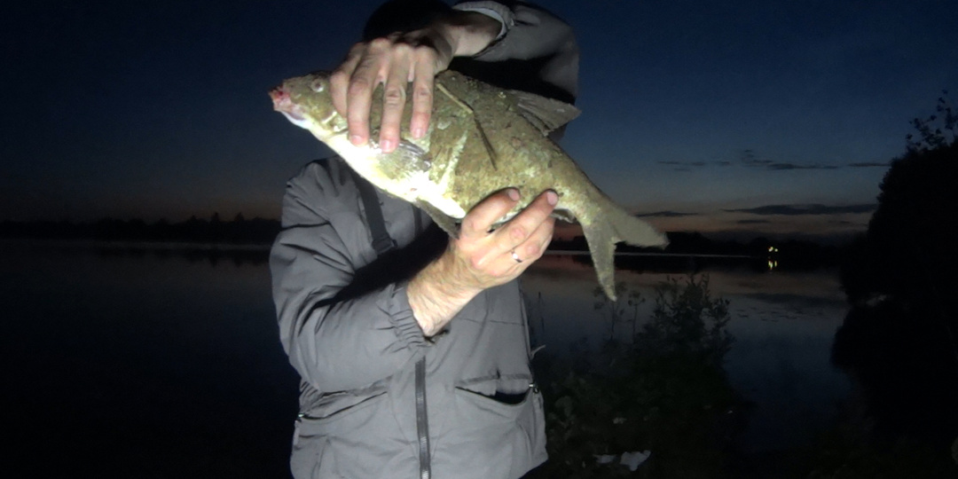 Рыбалка на Донки. Как Ловить Рыбу Осенью?