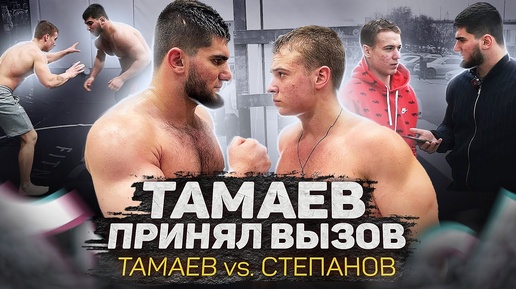 Тамаев vs. Данила Степанов. Бой Против ТикТокера!