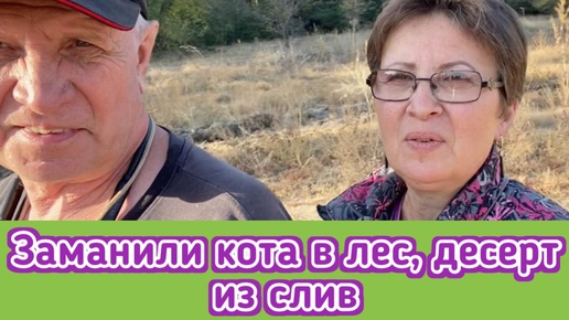 Сочинила десерт, заманили кота в лес, мое мнение о сериале 