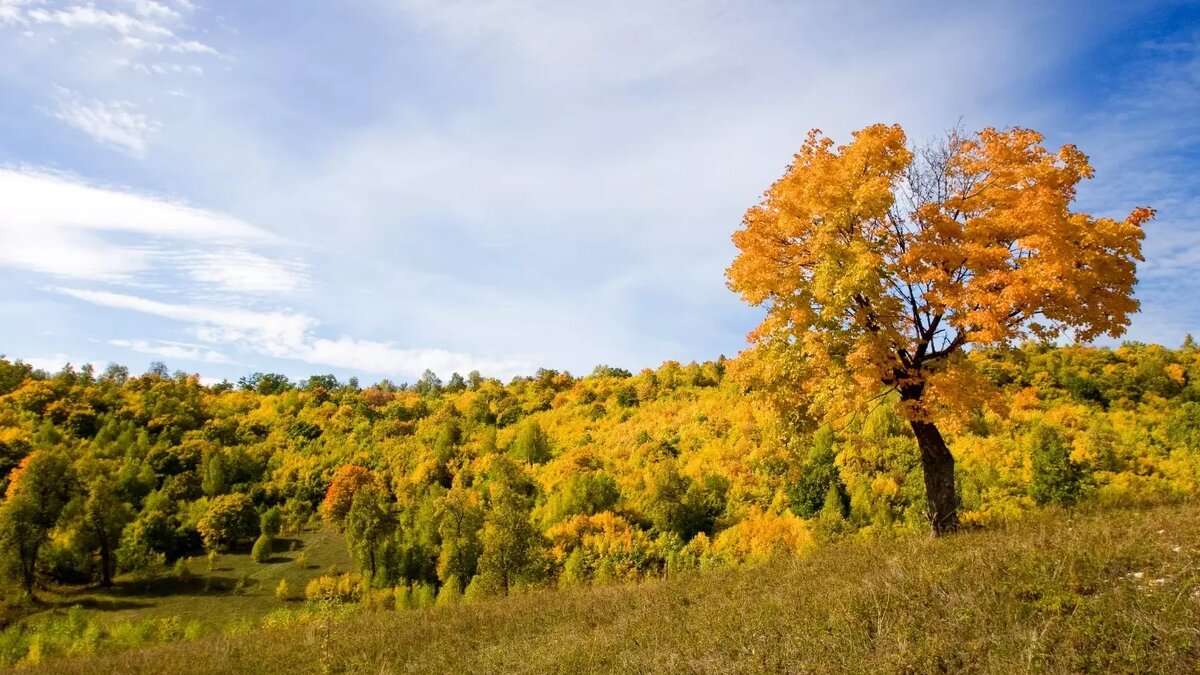     Автор: Светлана Мирсаева Источник: mkset.ru