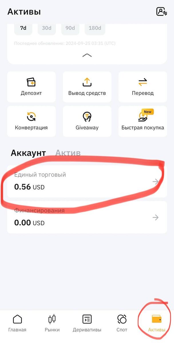 Почему токены хомяка не приходят на кошелек