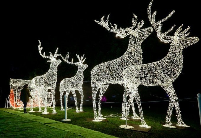 Световые новогодние олени