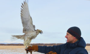    фото: пресс-служба Росприроднадзора РФ