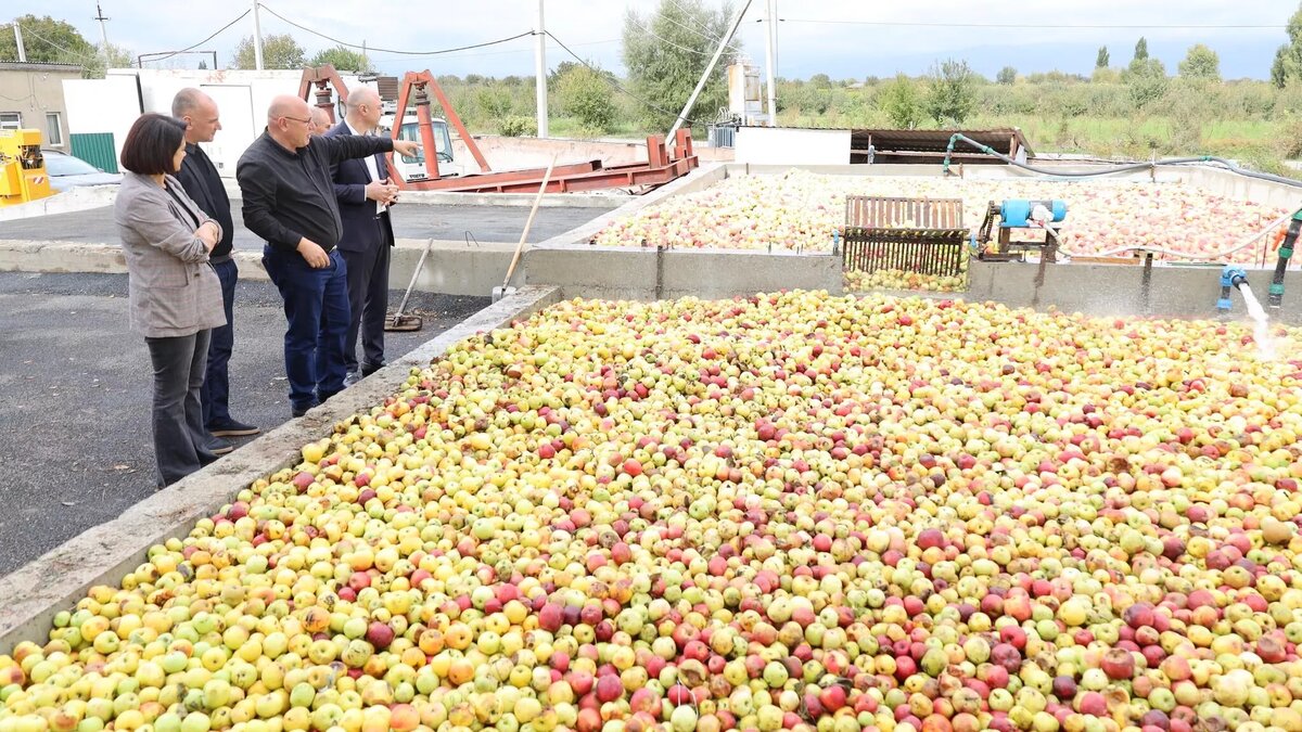 © Rural Development Agency of Georgia