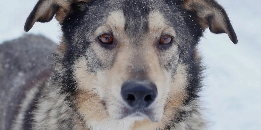 "Давайте знакомиться! Меня зовут Тина