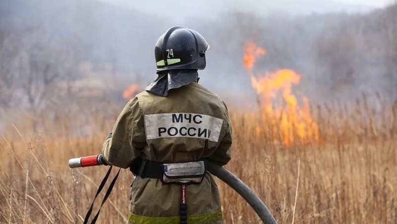      Фото: ИА «Победа26»