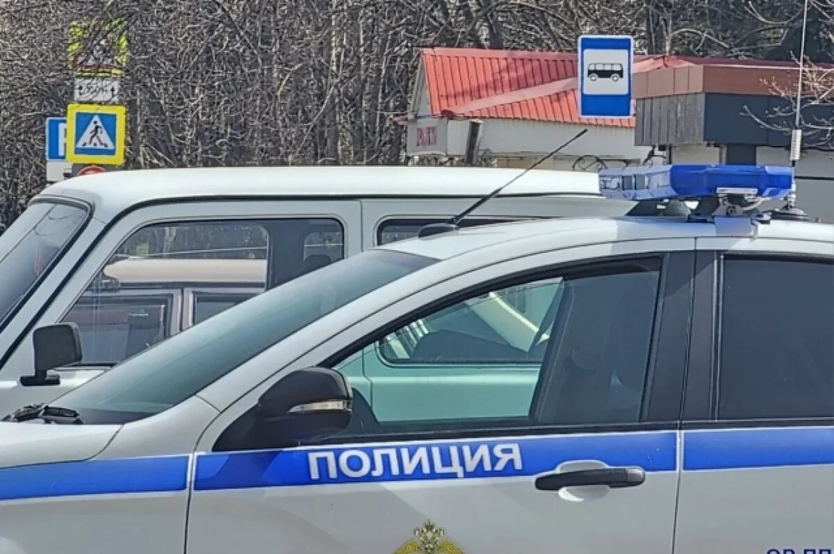    В Нурлате пьяный водитель сбил гаишника и протащил его несколько метров