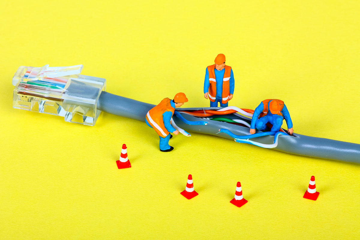    Фото: Andrew E Gardner / Shutterstock.com