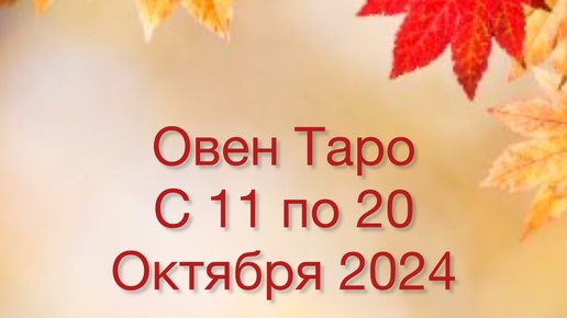 ОВЕН Таро с 11 по 20 Октября 2024