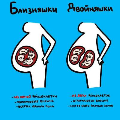 Разница между двойняшками и близнецами