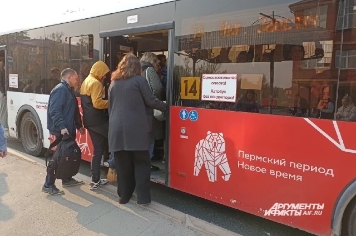    Решать проблему планируют путём пересмотра маршрутной сети в ближайшие годы (начиная с 2025 года), запуска «гармошек»