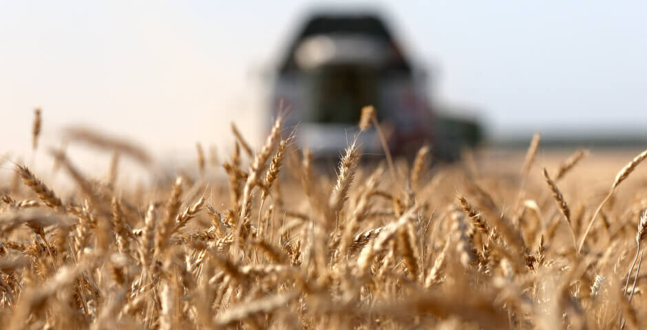 Фото: Эрик Романенко/ТАСС