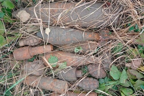    Фото: пресс-служба ГУ Росгвардии Краснодарского края