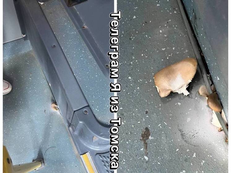     Фото: телеграм-канал "Я из Томска"