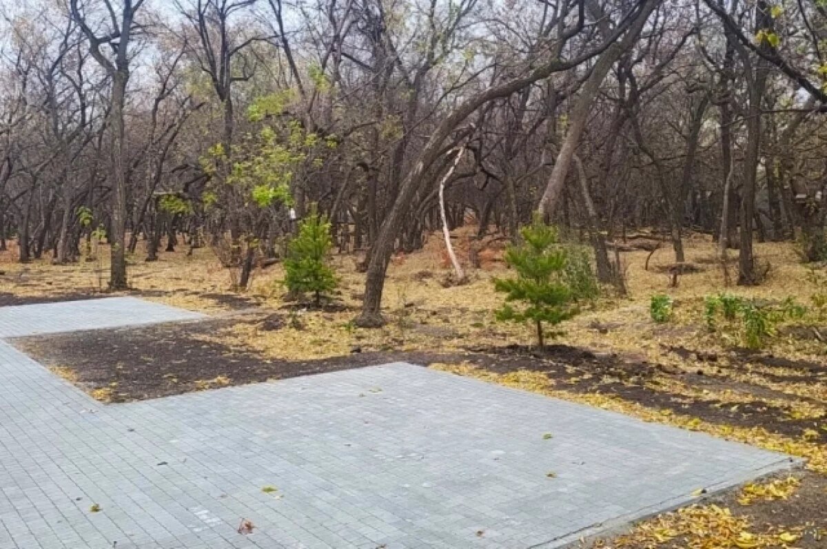    В парке имени Ленина высаживают молодые деревья