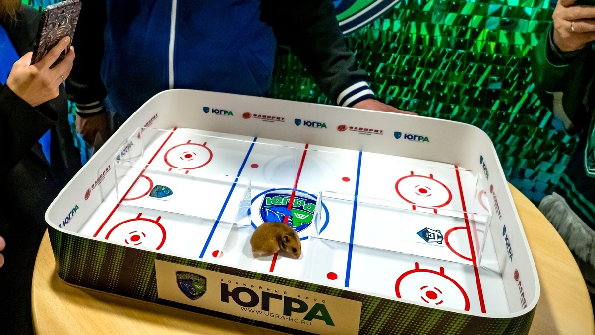    Хомяк предсказал поражение «Югры»