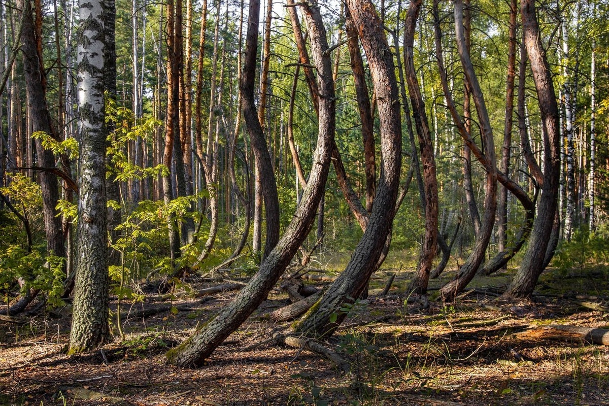Фото: Андрей Абакумов 