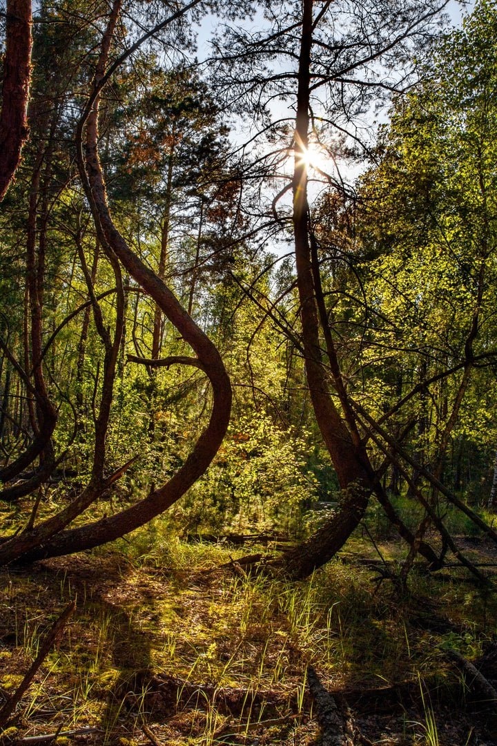 Фото: Андрей Абакумов 