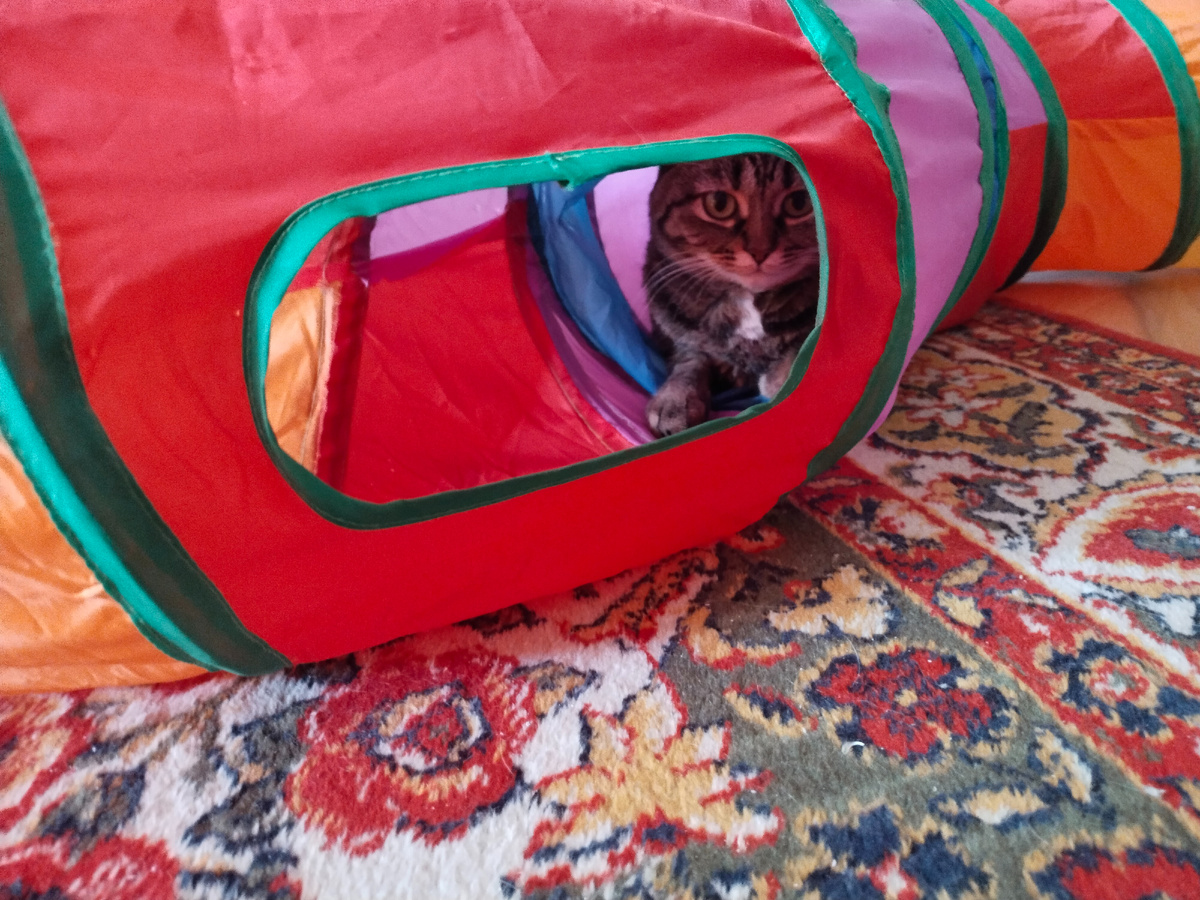 Да, в моей трубе всегда чистенько!