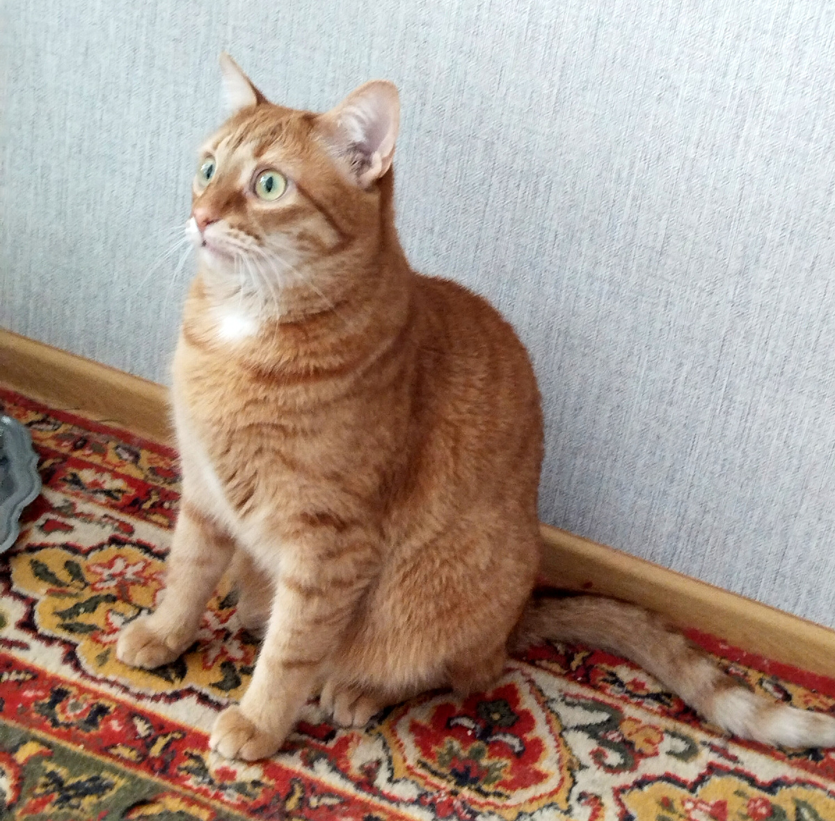 Хто?! Я?! Да ладно!!!