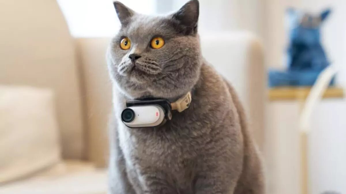 InstaGo 3 - невероятно маленькая и дешевая камера. Вот что произошло, спустя 50 лет прогресса. 