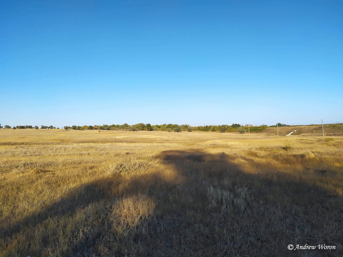 Сразу за городской околицей