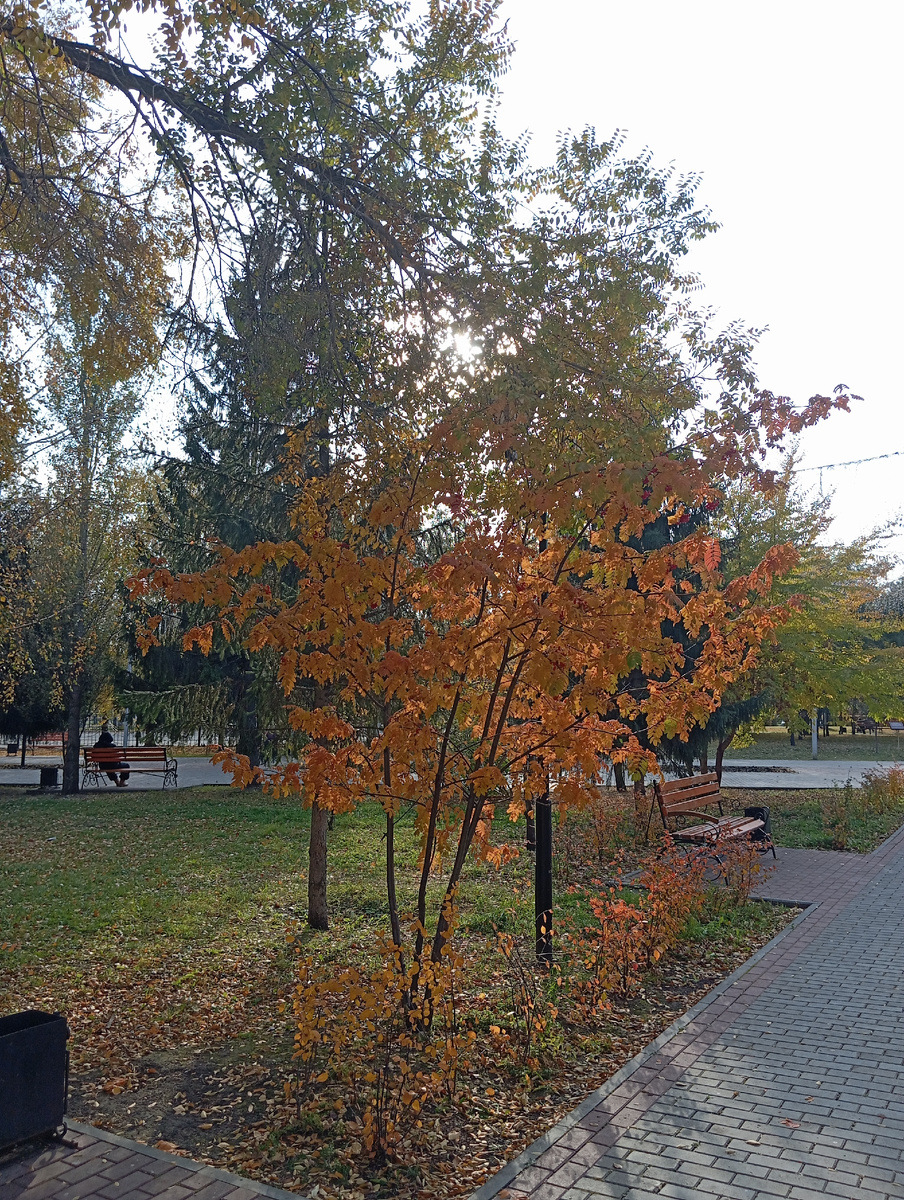 Добро пожаловать в парк