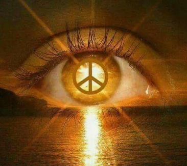 Фото из открытых источников интернета