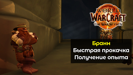 Как быстро прокачать Бранна для успешного прохождения вылазок | World of Warcraft: The War Within 11.0