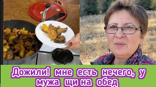 У мужа щи на обед, а мне есть нечего! пожарила себе овощное рагу, почему я продала свои дачи / жизнь в деревне