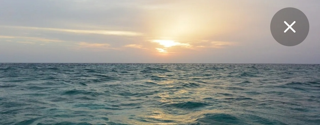 Море. Фото из открытых источников.