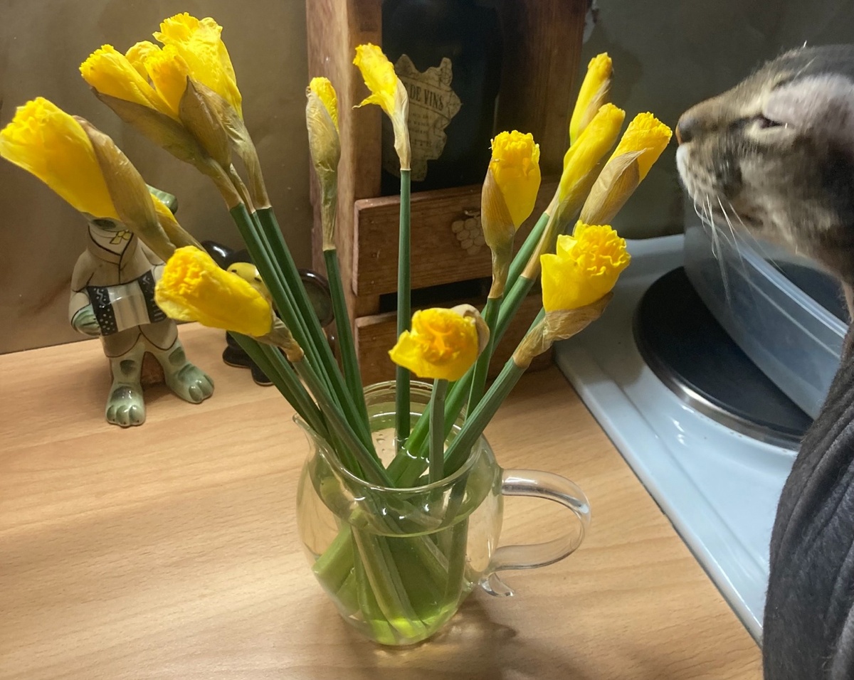 1. «Весенняя нежность» 