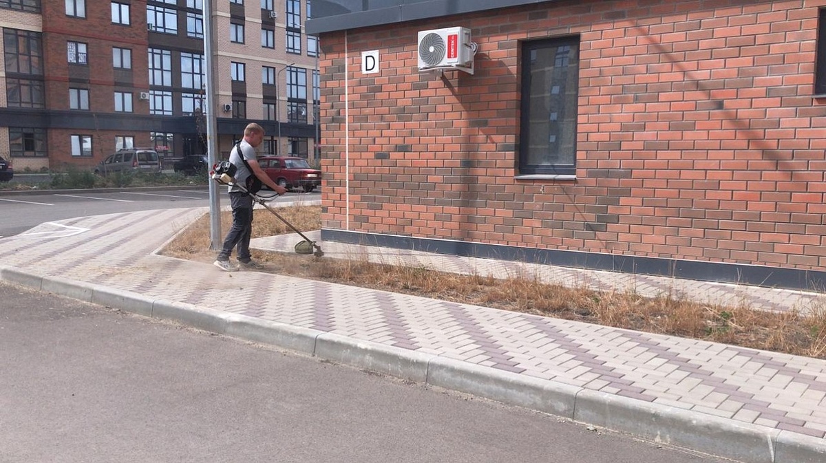    Фото: пресс-служба администрации Краснодара