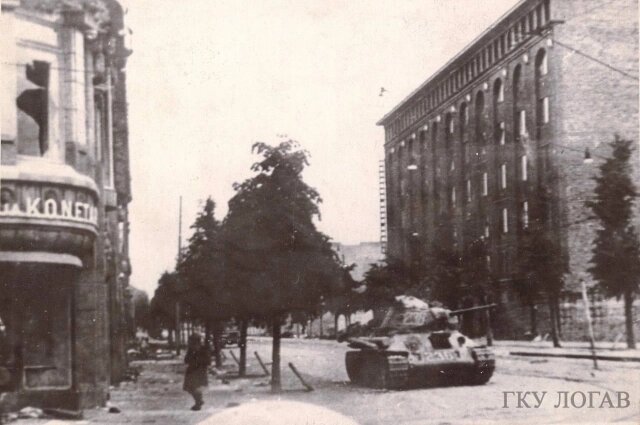    Редкое фото, сделанное в июне 1944 года. Авторы фотографии – военкоры Чертов и Скурыкин (ТАСС). Копия А.С. Бакуна. Фото: Ленинградский областной государственный архив.