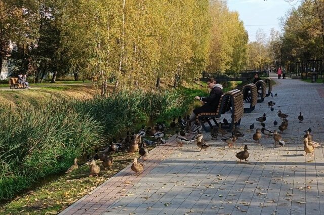    Фото: «АиФ-Нижний Новгород»/ Ольга Морозова