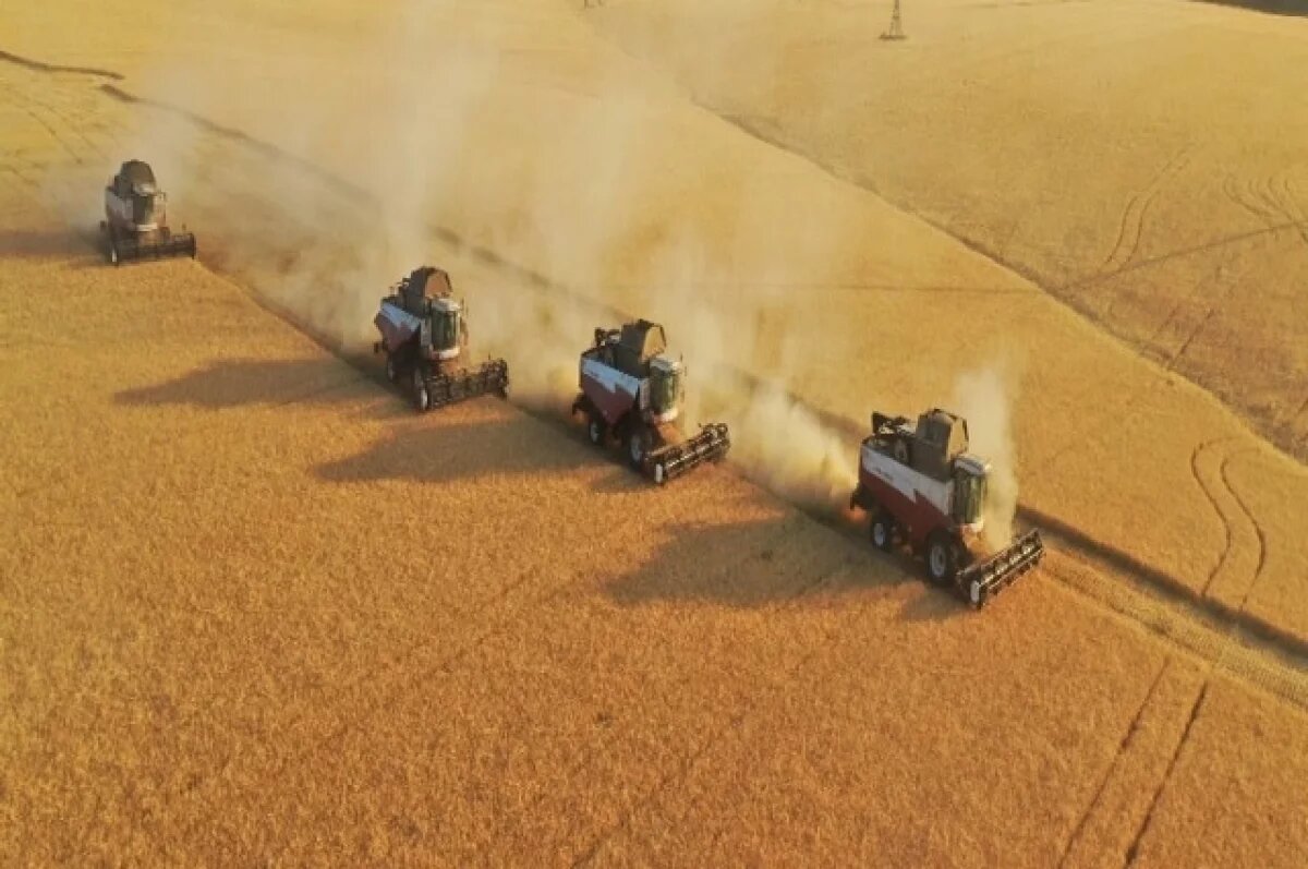    Хабиров сообщил, что в этом году урожайность больше, чем в прошлом