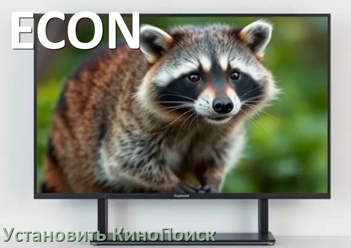 
Как на телевизор ECON скачать и установить КиноПоиск со флешки