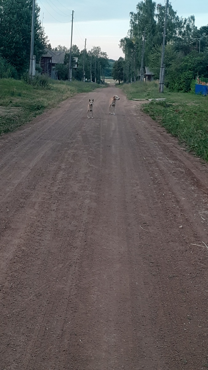 Наша деревня 