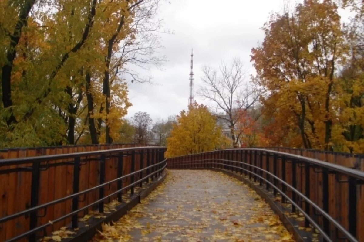    Воронежцев приглашают принять участие в общегородском субботнике