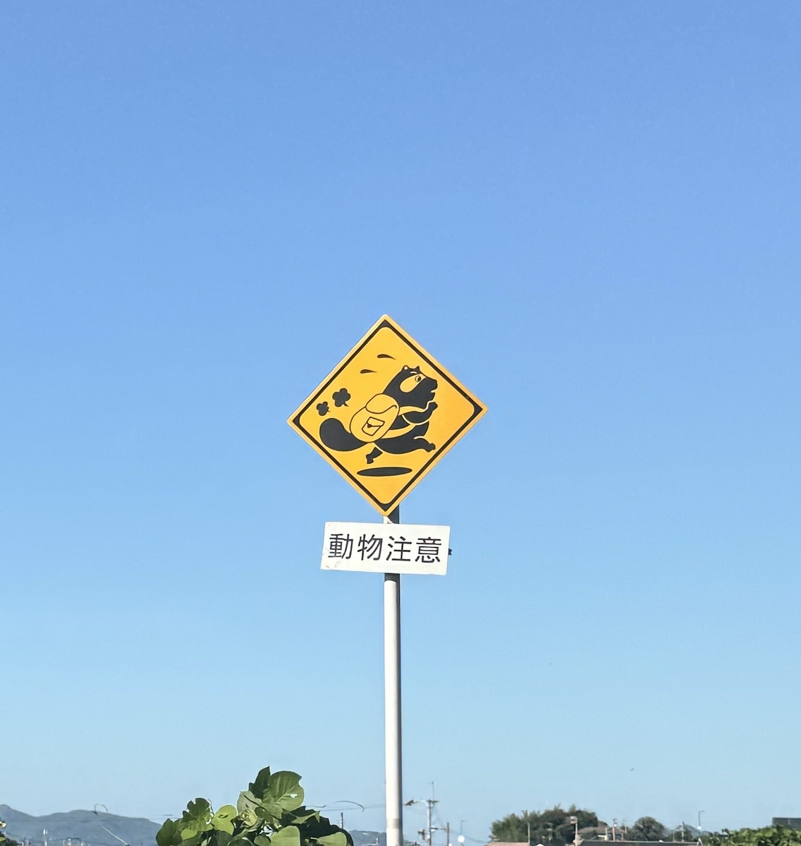 Дорожный знак